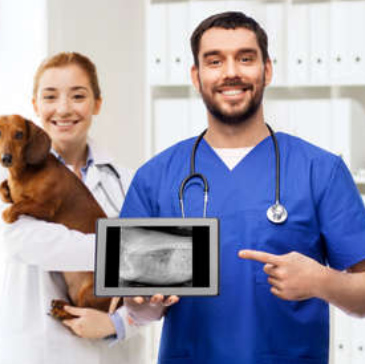 radiologist specialist veterinary